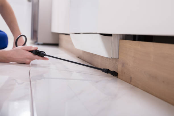Reliable Termite Control Solutions for Homes and Businesses